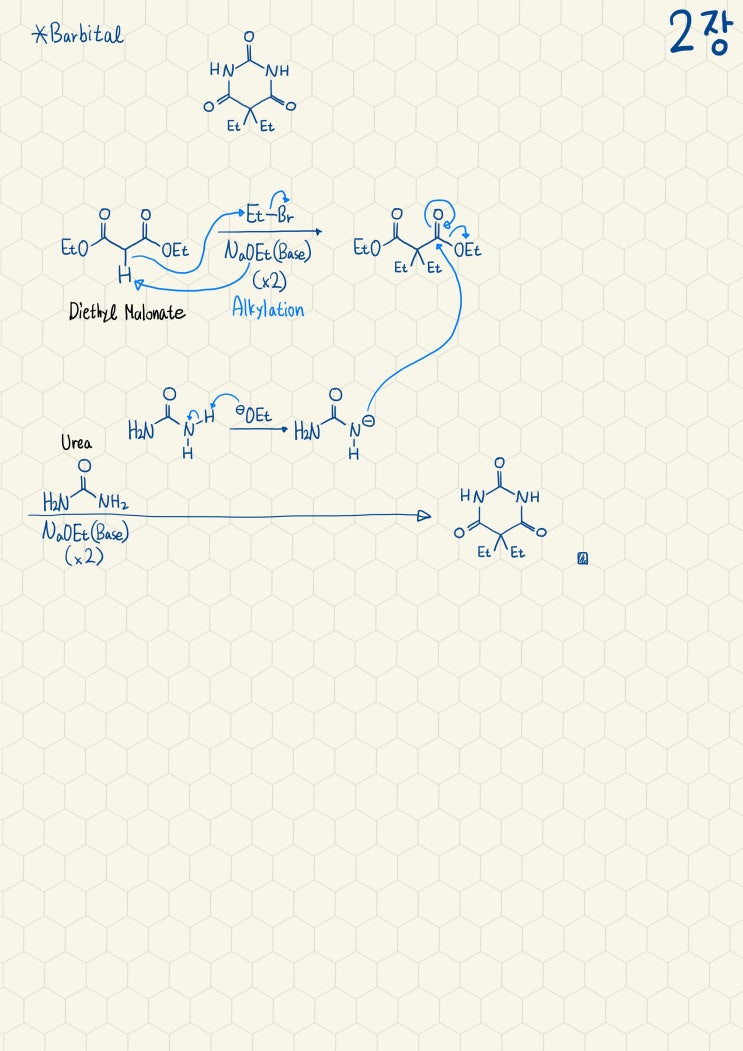  Barbital의 합성기전
