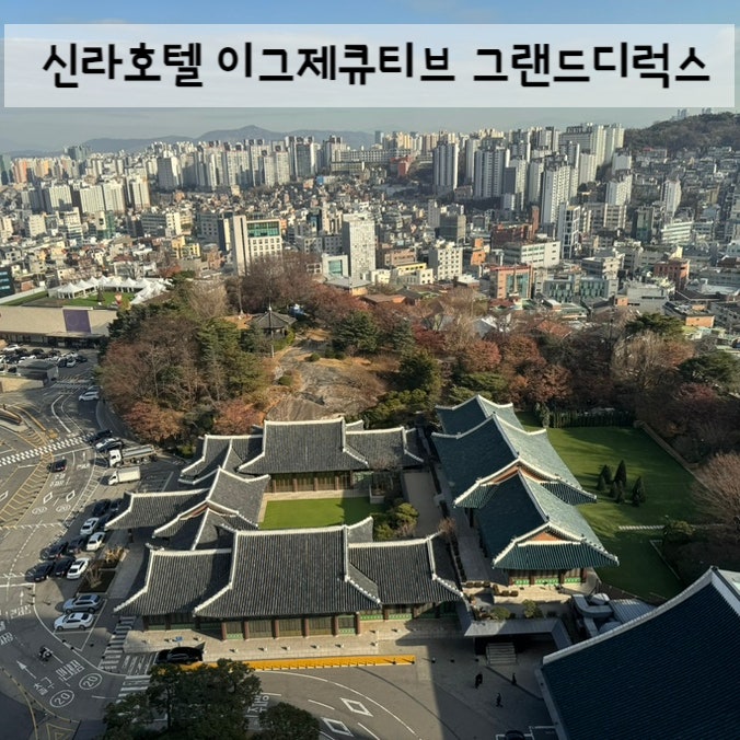 서울 신라호텔 이그제큐티브 그랜드디럭스 영빈관뷰 이용꿀팁
