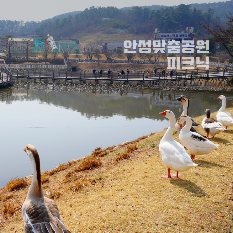  안성 데이트코스 안성맞춤랜드 피크닉 데이트