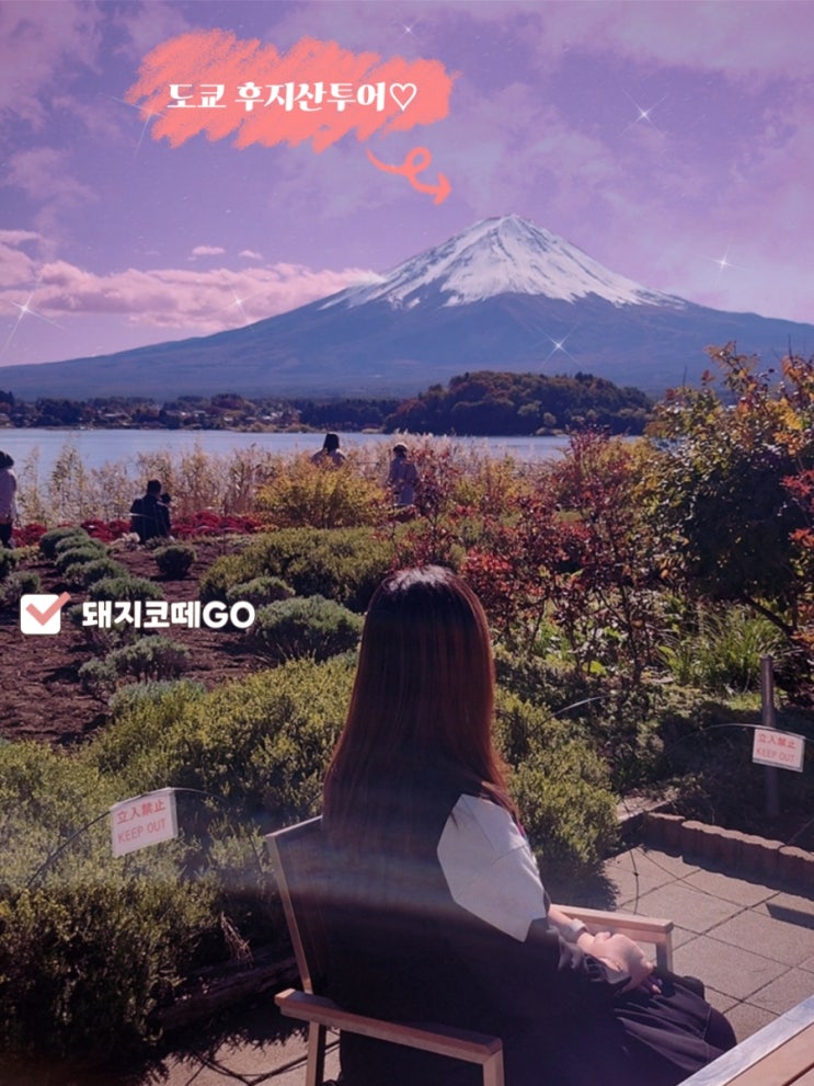  [돼지코떼GO] 일본자유여행_도쿄여행_후지산투어_도쿄가볼만한곳_도쿄추천장소_후지산_일본경치_일본_도쿄_신주쿠_오이시공원_아라쿠라야마센겐공원_클룩_일본관광지추천_일본가볼만한곳