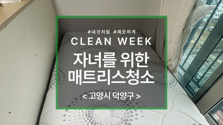  고양 지축역 수피움 매트리스 청소