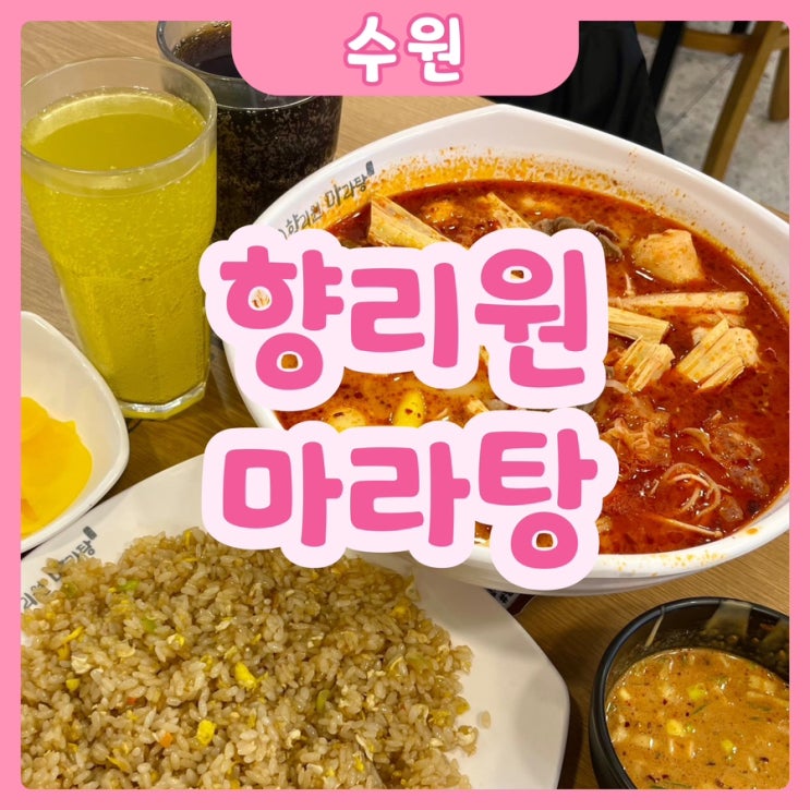  [수원|수원역] 향리원마라탕 수원역점 | 마라탕을 먹으면 탕후루가 공짜?!!! 수원역 마라탕 맛집 완전 강추!!