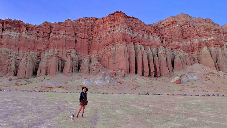  [샌프란↔데스밸리] 미서부 로드트립 Day4-④ Red Rock Canyon State Park + Fish Rock