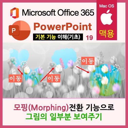 맥북 파워포인트(PPT) 모핑 전환 기능을 이용해 도형이 움직이면서 그림의 일부분 보여주기 맥북 파워포인트(PPT) 모핑 전환 기능을 이용해 도형이 움직이면서 그림의 일부분 보여주기