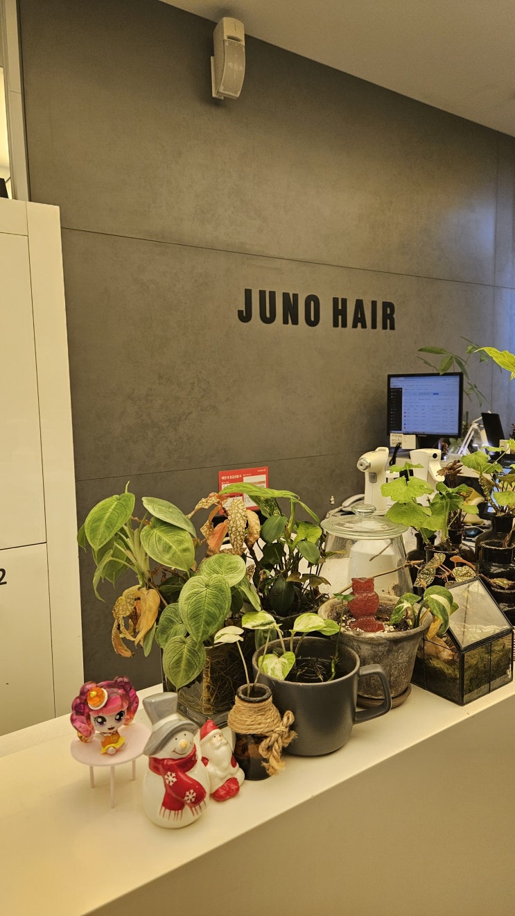  가양역미용실 _ 준오헤어 강서홈플러스점 빌드펌 후기 :)