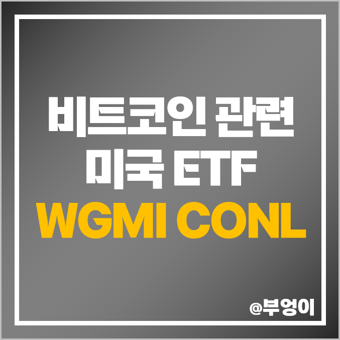 가상자산 비트코인 관련주 미국 ETF WGMI 레버리지 CONL