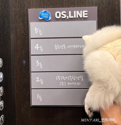 사진 4