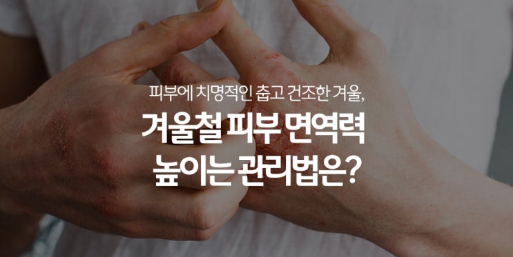  추운 겨울철 건조하고 갈라지는 피부, 피부 면역력 높이는 관리법은?