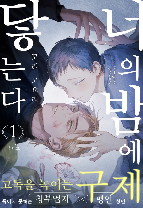  [BL만화] 너의 밤에 닿는다 - 모리 모요리