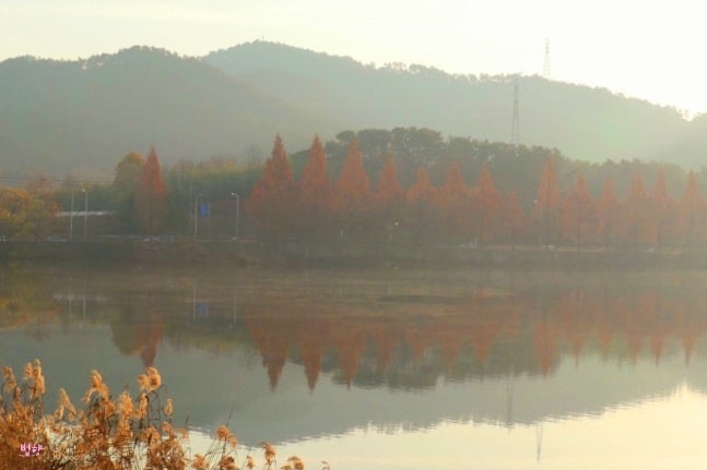 대야제 사진 1