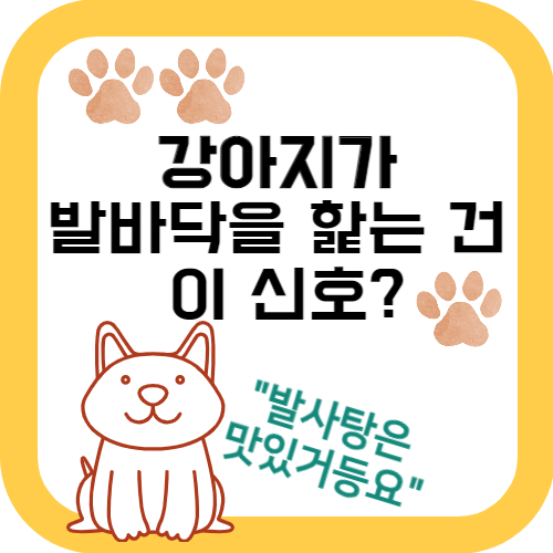  강아지가 발바닥을 핥는다면? 습진, 까짐, 발사탕엔 이렇게!