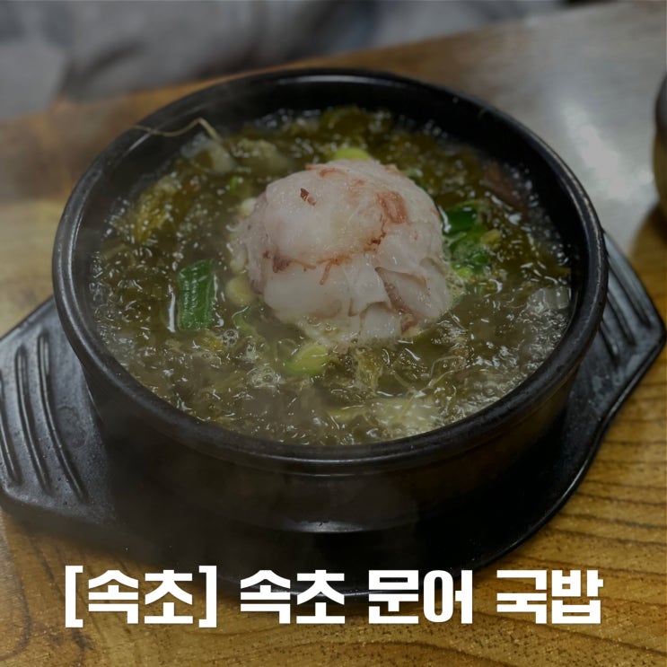  [속초] 현지인 맛집 속초 문어 국밥 / 솔직후기 / 웨이팅 정보