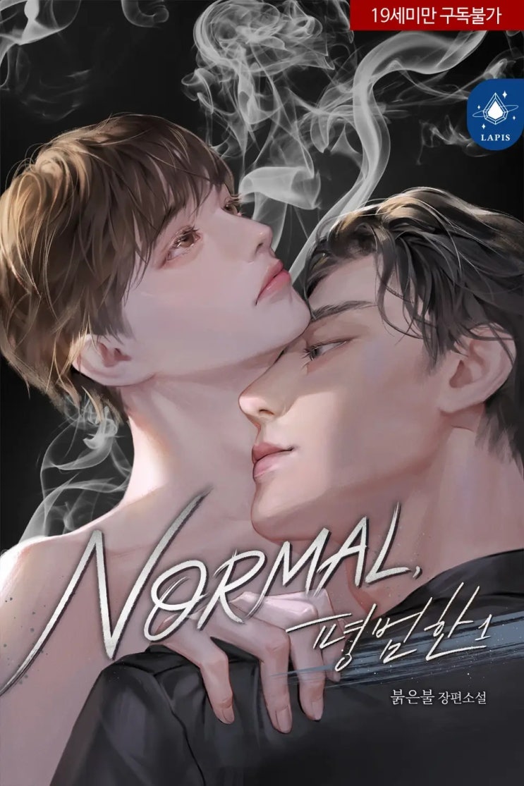BL소설 리뷰) 붉은불-노멀, 평범한(NORMAL, 평범한) BL소설 리뷰) 붉은불-노멀, 평범한(NORMAL, 평범한)