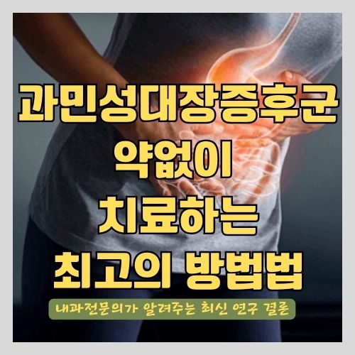 과민성대장증후군을 약 없이 치료하는 최고의 방법 - 내과 전문의의 검증된 연구 기반 설명