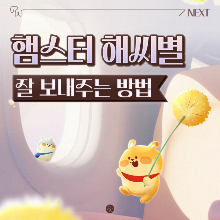  소동물 햄스터 장례식장 해씨별 잘 보내주는 방법