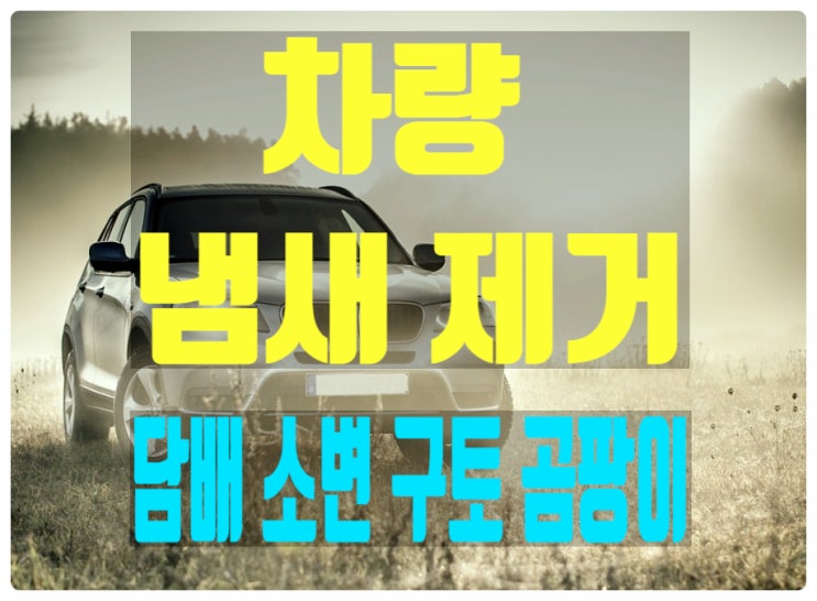 차량 담배 냄새 제거 방법 (자동차 실내 냄새 제거- 구토, 소변, 곰방이)