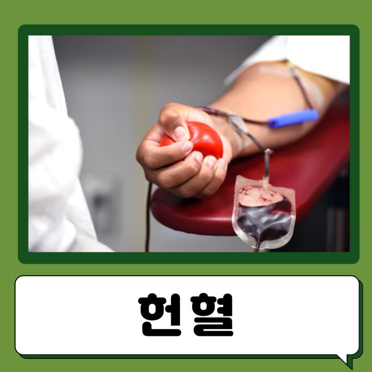  전혈 혈장 혈소판 지정헌혈 시간, 조건, 주기 예약법