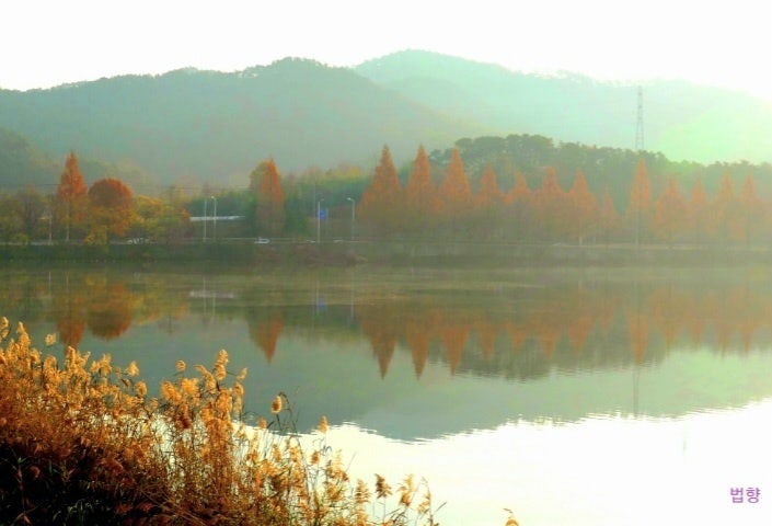대야제 사진 4
