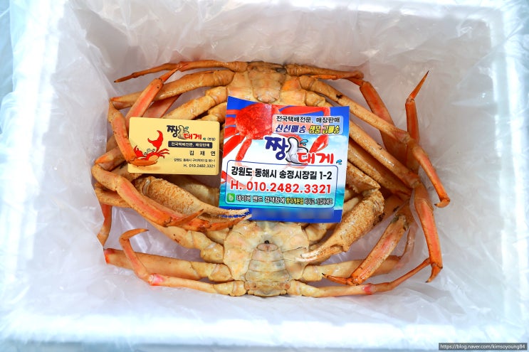  [동해맛집] 집에서 편안하게 주문해먹는 러시아대게 짱대게
