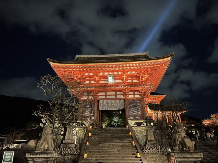 [일본 여행] 셋째 날. ⑦ 교토 | 키요미즈데라(청수사) 야간 개장 관람