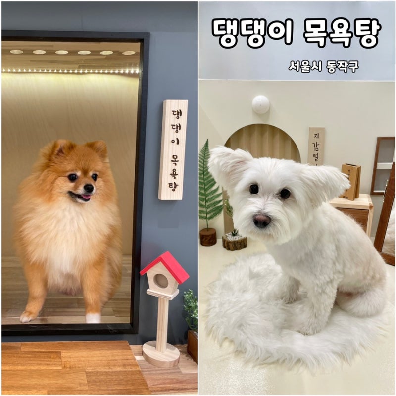 사진 2