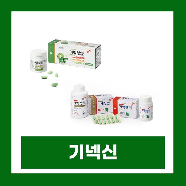 기넥신 에프정 80mg 성분 부작용 복용법 가격 은행엽건조엑스