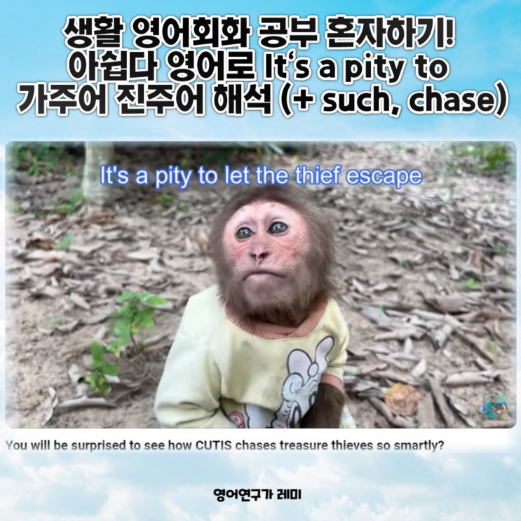 일상 생활영어 단어 ! 아쉽다 영어로 It's a pity to it that 가주어 진주어, 영어 접속사 that, such, chase