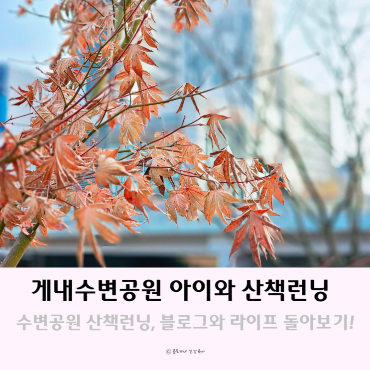 수변공원 산책런닝하며 라이프와 블로그 돌아보는 시간 수변공원 산책런닝하며 라이프와 블로그 돌아보는 시간