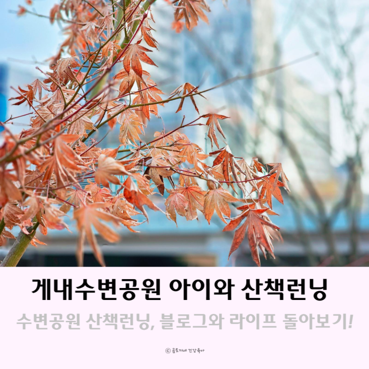 수변공원 산책런닝하며 라이프와 블로그 돌아보는 시간