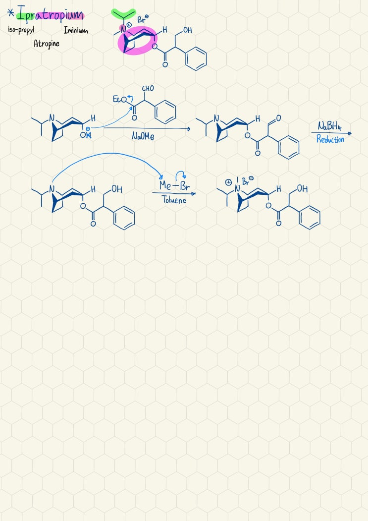 Ipratropium Bromide의 합성기전
