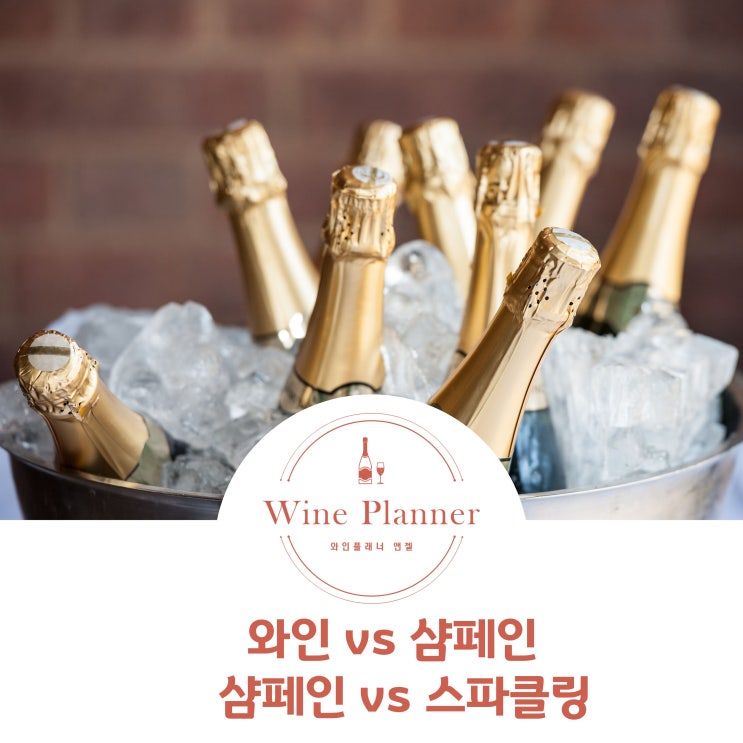  와인 샴페인 차이 스파클링와인과는 어떻게 다른가