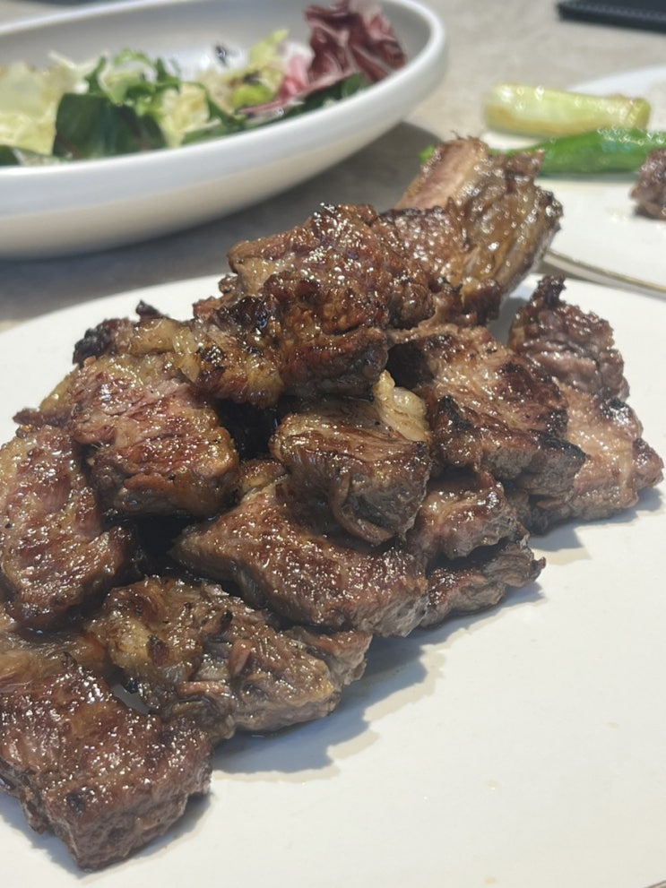  일산 갈비맛집에서 우대갈비 위에 양념갈비 존맛탱