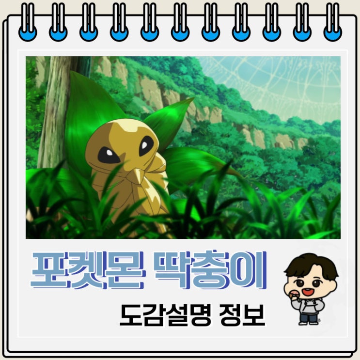 포켓몬스터 딱충이 도감설명 정보 포켓몬스터 딱충이 도감설명 정보