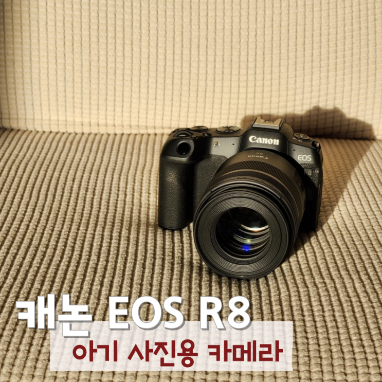  아기 사진용 카메라 추천 캐논 EOS R8 풀프레임 미러리스