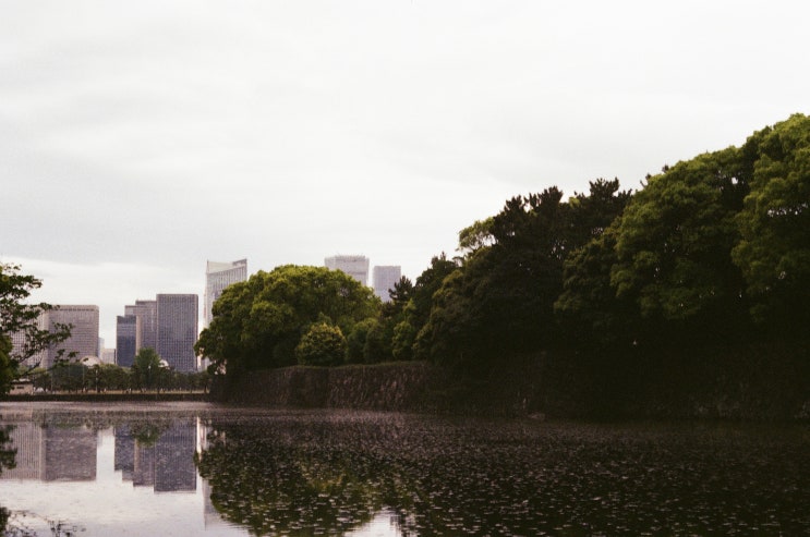  고쿄 히가시교엔 (황궁)  _ 2023 도쿄 여행 로케 02