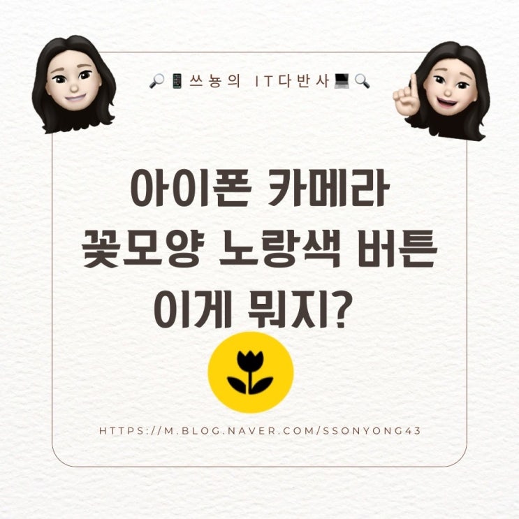  아이폰 카메라 꽃 모양-접사 자동 전환 기능 제대로 알기