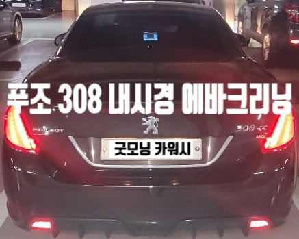  강남구 에바크리닝 일원동 대치동 푸조308 냄새제거 과정