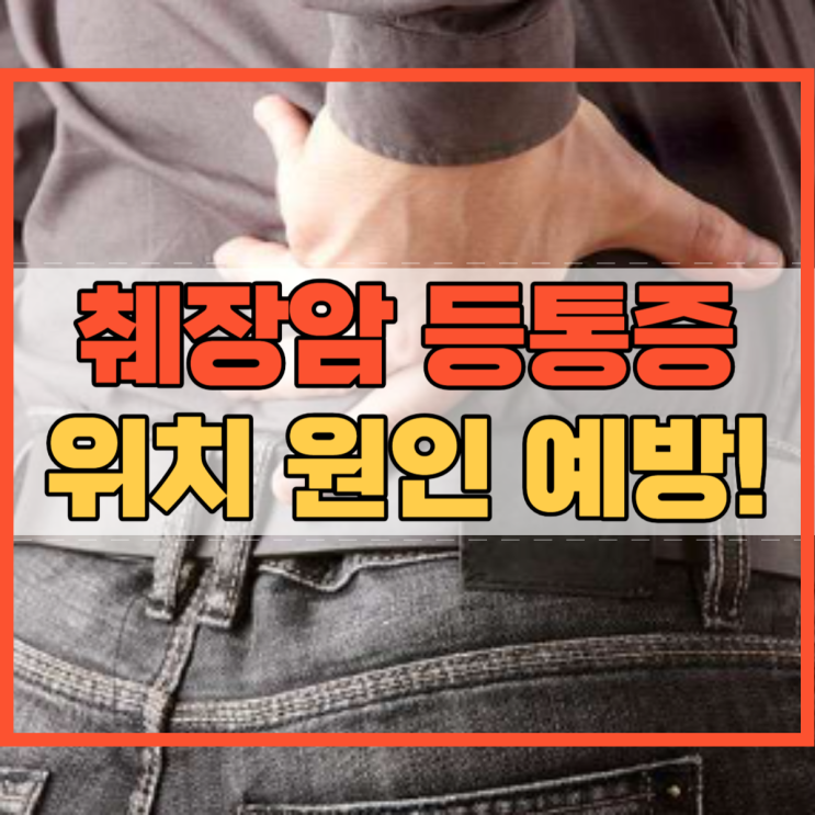  췌장암 등통증 위치 진단 및 예방 방법과 원인!