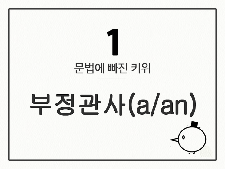  [영어 기초 문법] 관사 - 부정 관사(A/An)