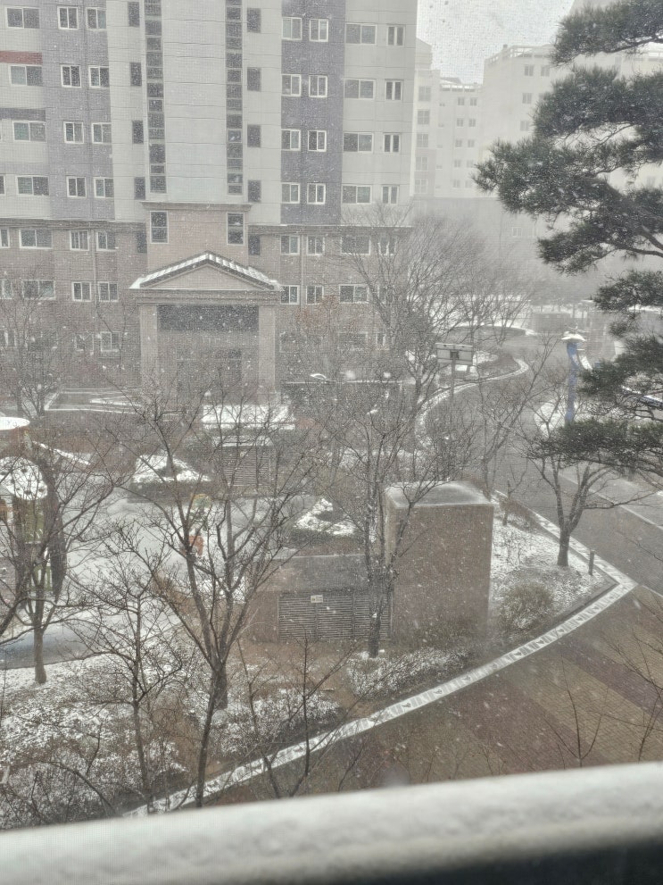  눈 내리는 내포 신도시[2023. 12. 16.(토)]