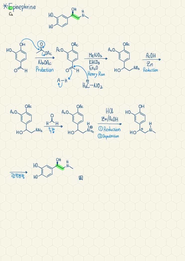 Epinephrine의 합성기전2