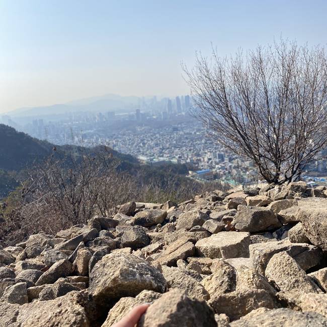  오랜만에 등산 나들이 다녀왔어요 / 호암산 둘레길 둘러봤던 하루