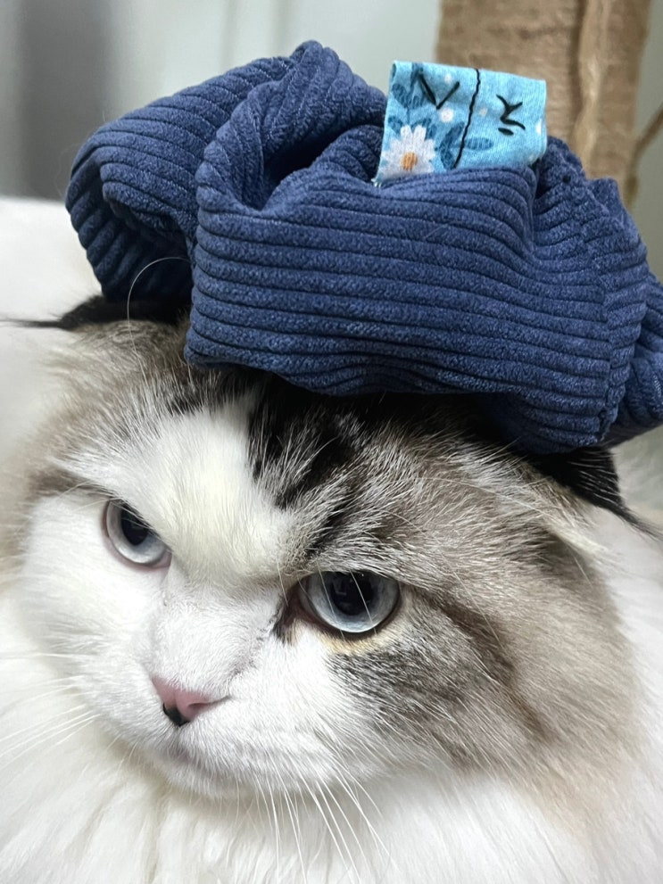  [재봉틀] 혼스 미니 재봉틀로 헤어 슈슈 만들기 ; 코듀로이 원단