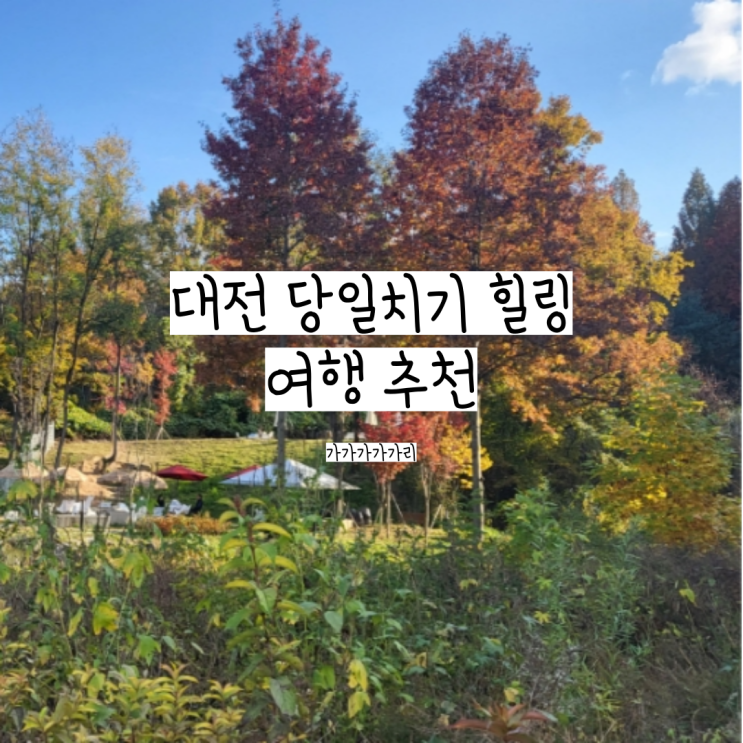  대전,청주 근교 가볼만한곳 자연힐링 당일여행 금강로하스 대청공원(주차꿀팁&후기), 카페 두두당