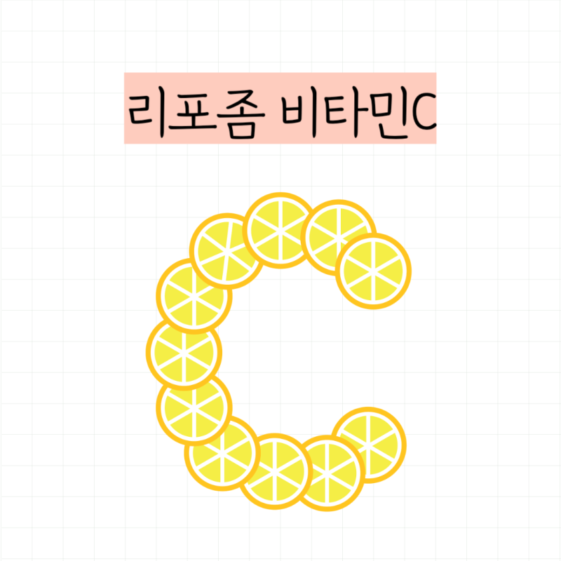 리포좀 비타민씨 효능 흡수율, 먹는법, 비타민C 추천