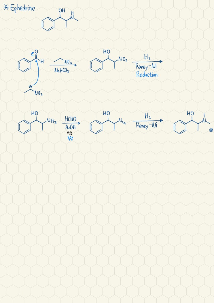 Ephedrine의 합성기전