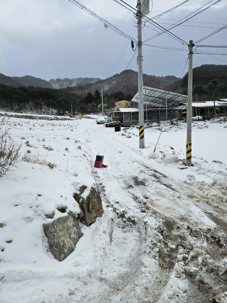  고속도로 눈길사고 추돌사고