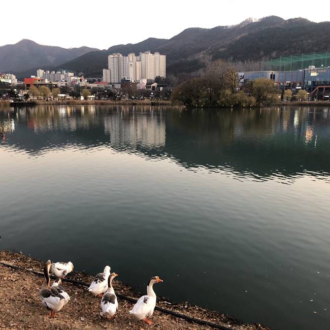  어제 공원에 놀러갔다 생각을 하다 생긴이야기 / 아이러니합니당