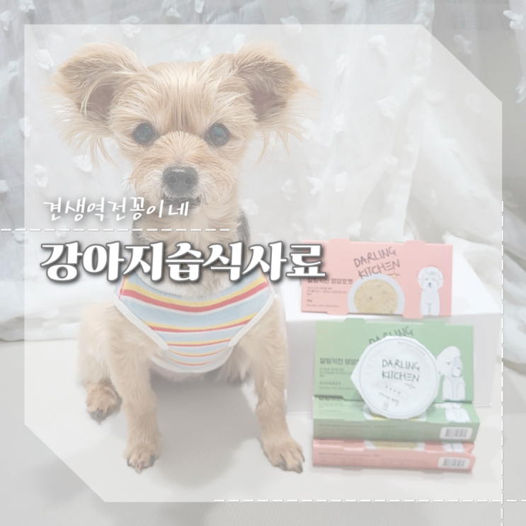  노령견 습식사료 노견영양식 추천 기호성 좋은 강아지사료 달링키친 습식캔