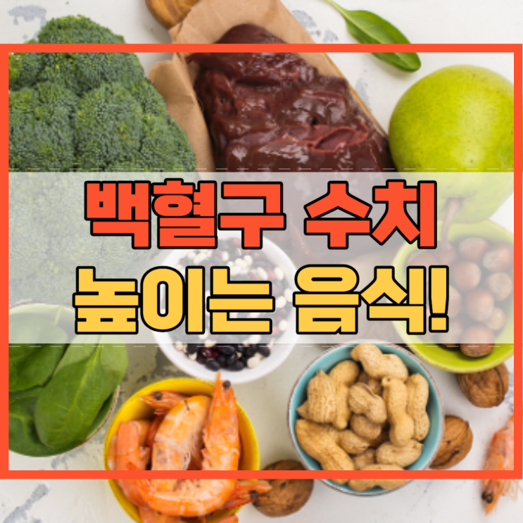  백혈구 수치 낮으면 높여주는 음식 4가지!